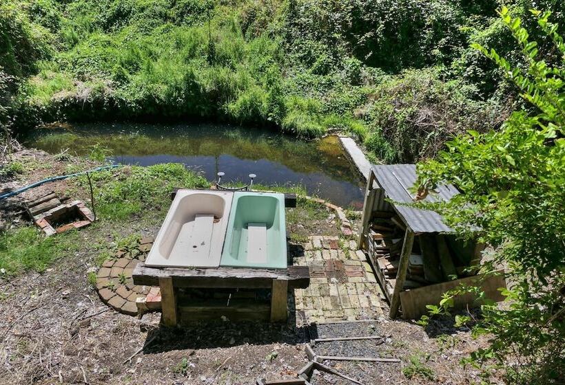 Пансион Timber Trail Centre