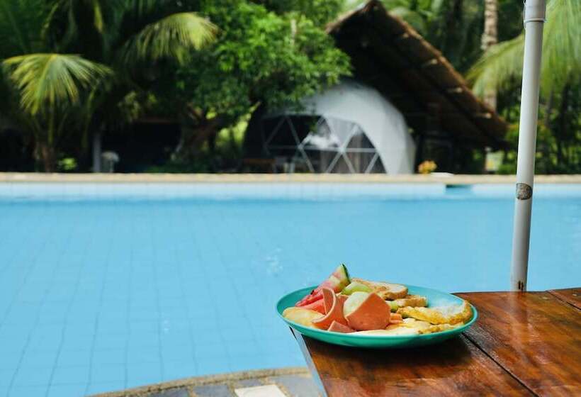 Eco Glamping Treehouses Closest Resort To All Tourist Attractions