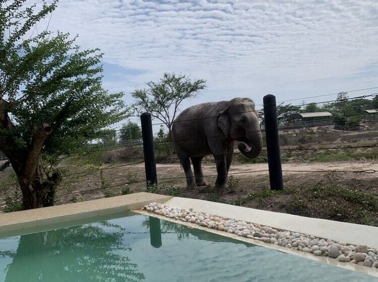 リゾートホテル Elephant View Camp