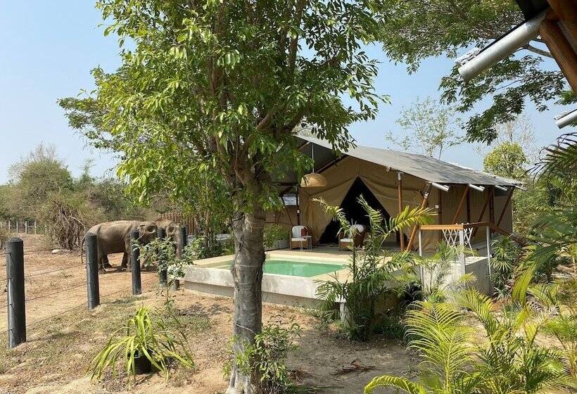 منتجع Elephant View Camp