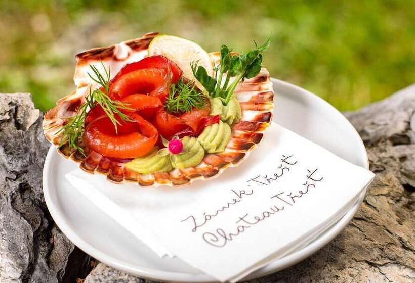 Отель Chateau Třešť