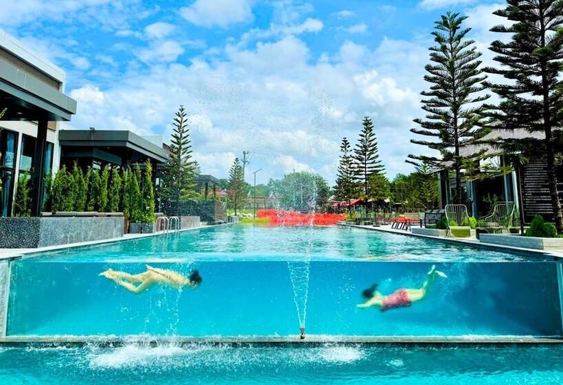 See Stars & Forest Resort