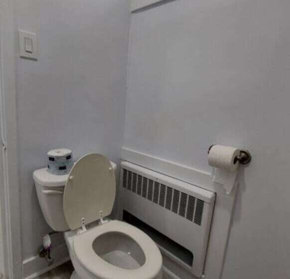 Village Motel By Oyo Clinton