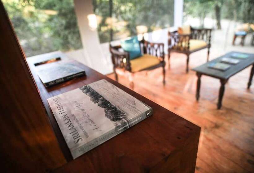 Yala Hotel Lion Air Conditioned Luxury