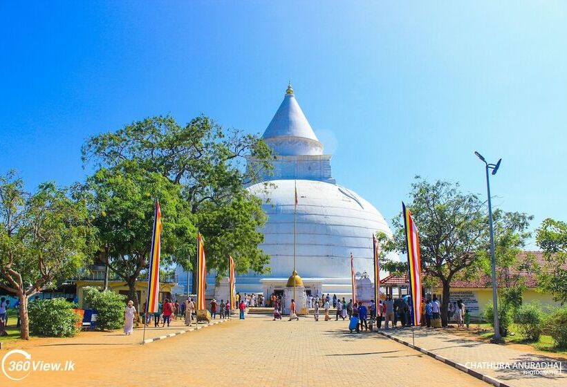 Yala Hotel Lion Air Conditioned Luxury