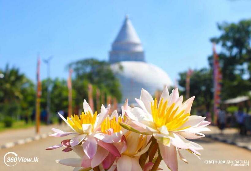 Yala Hotel Lion Air Conditioned Luxury