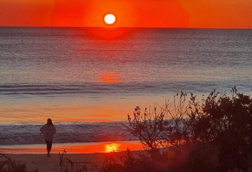 Coastal Beach Retreat Scarborough Pool & Slide!