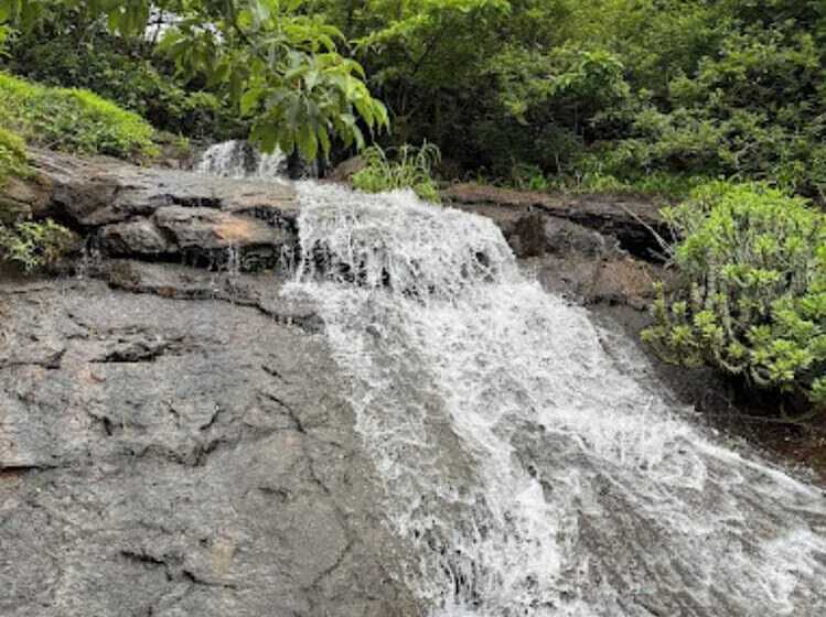 בית מלון כפרי Jumbo Paradise