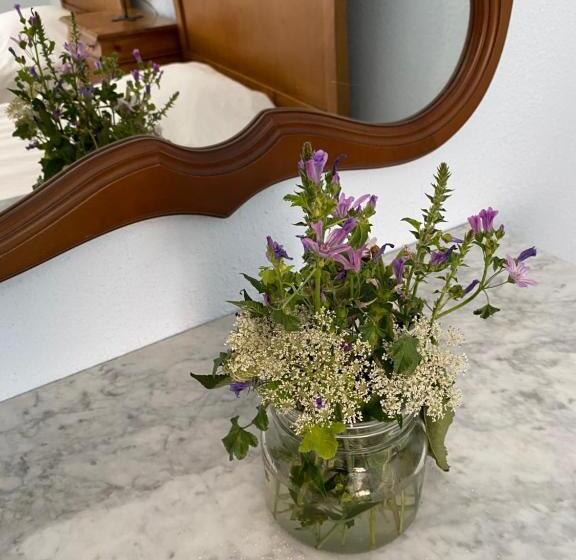 ホテル Residencia Maestrices Casica De La Esquina