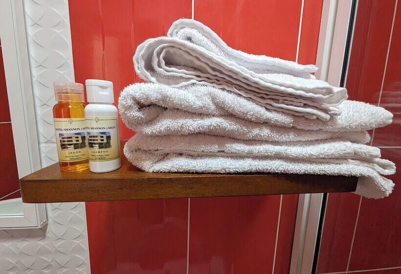 ホテル Shannon 360