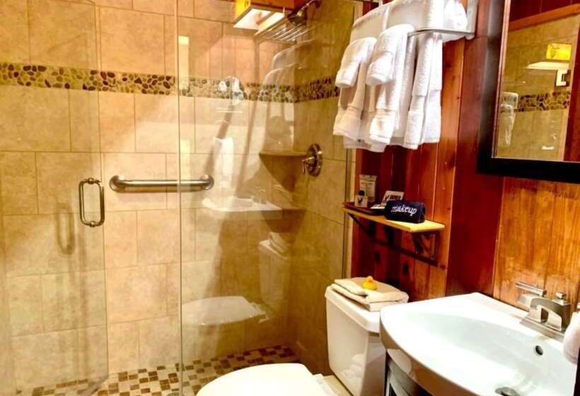 ホテル Snowbird Mountain Lodge