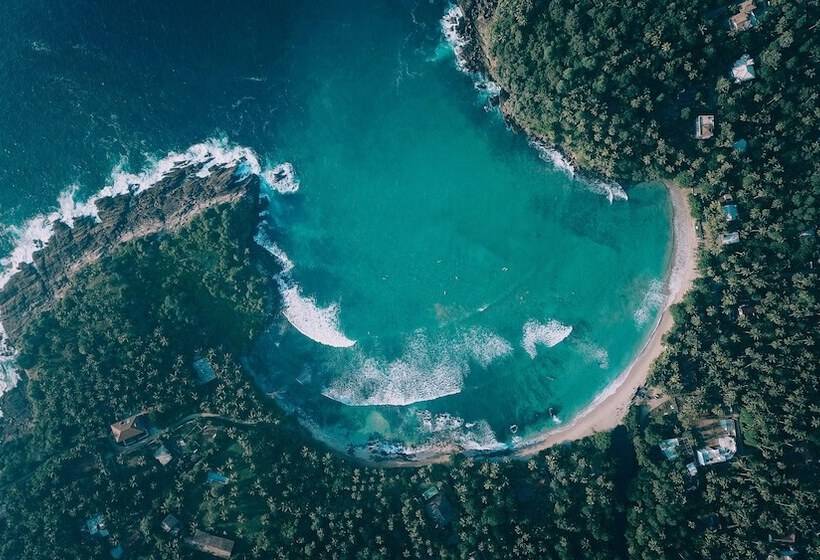 호텔 The Salty Pelican