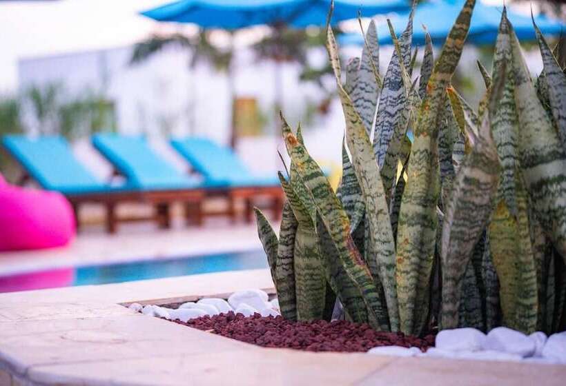 ホテル Turkuaz Beach