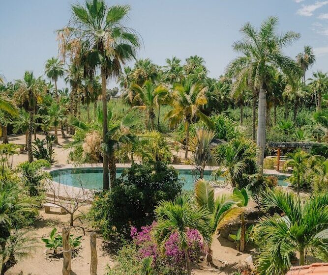 La Poza Boutique Hotel & Spa   Adults Only