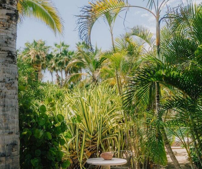 La Poza Boutique Hotel & Spa Adults Only