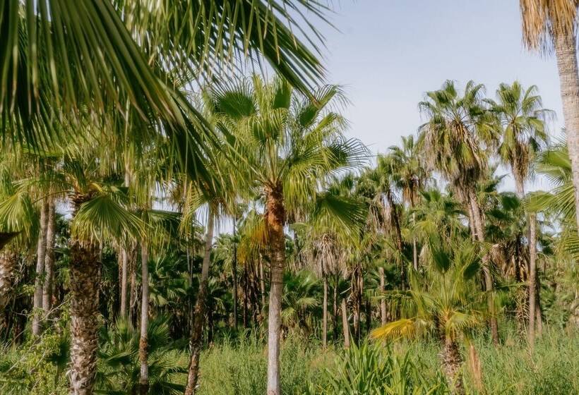 La Poza Boutique Hotel & Spa Adults Only