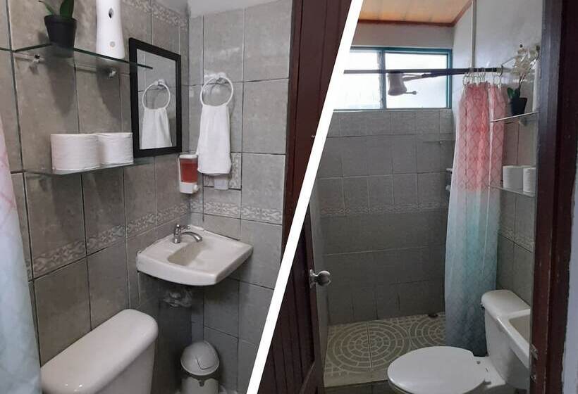 فندق صغير Indigo House