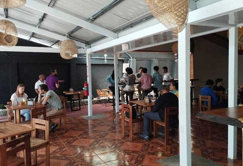 فندق Casa Del Carmen