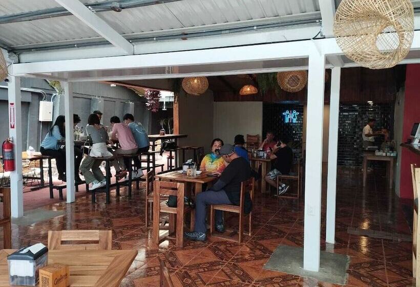 فندق Casa Del Carmen