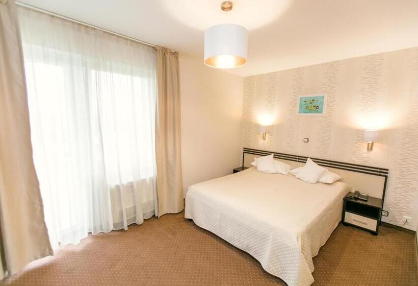 בית מלון כפרי International