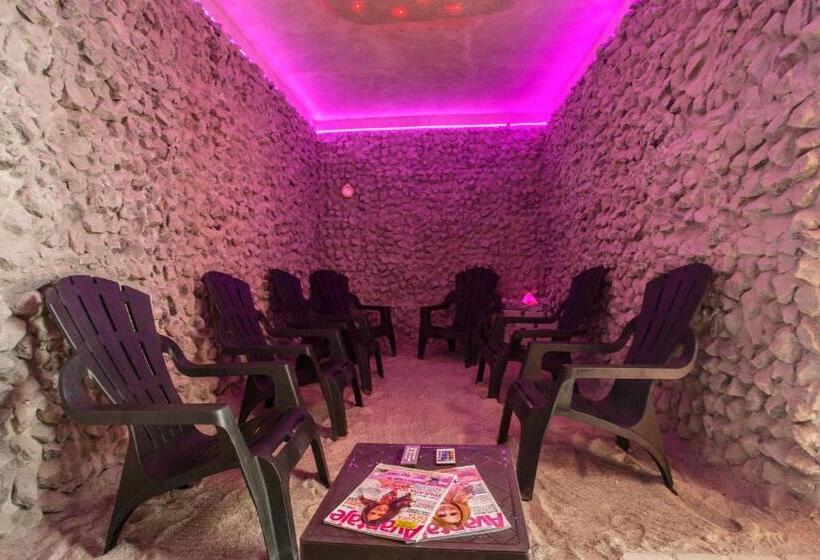 בית מלון כפרי International