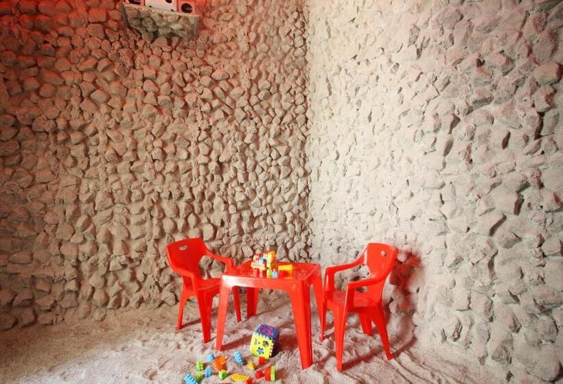 בית מלון כפרי International