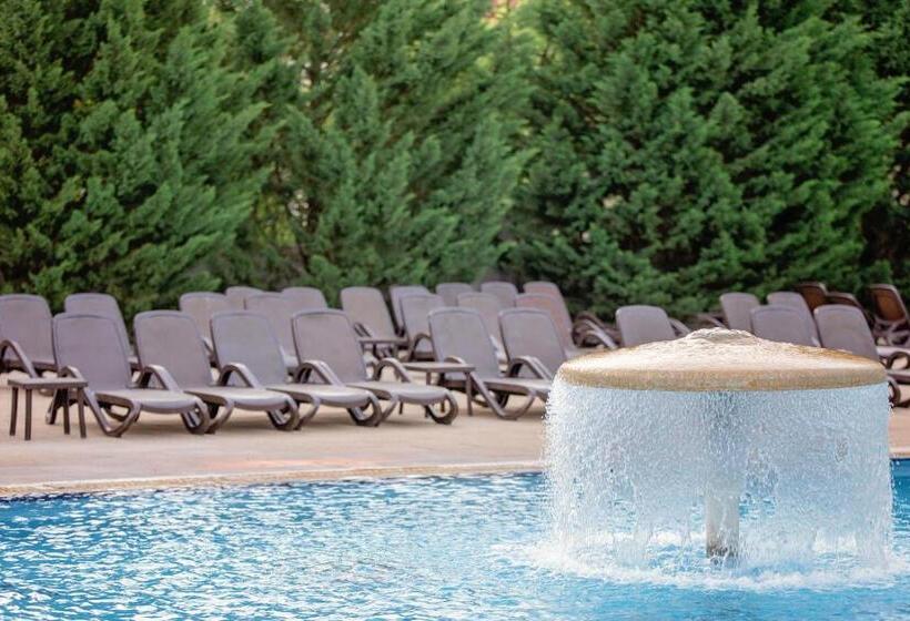 בית מלון כפרי International