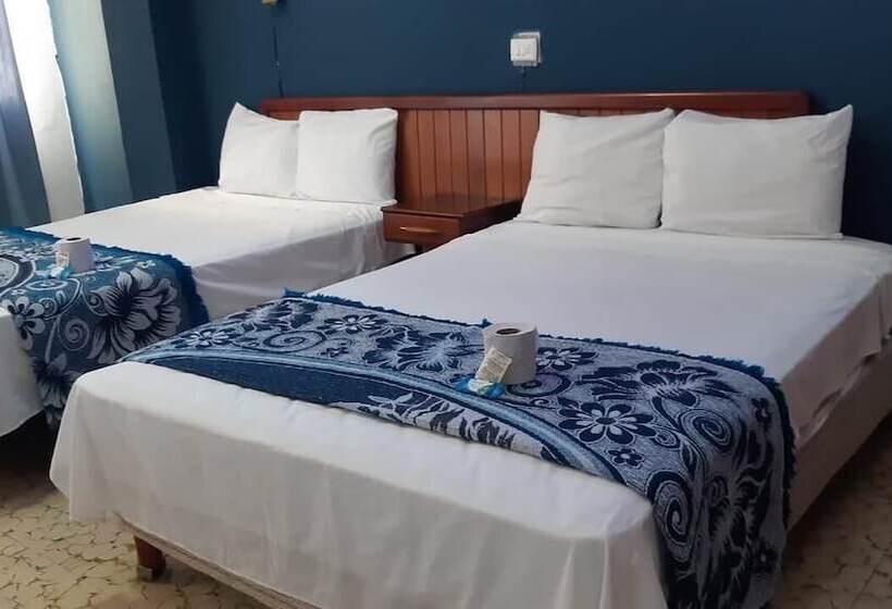 هتل Narváez Classic