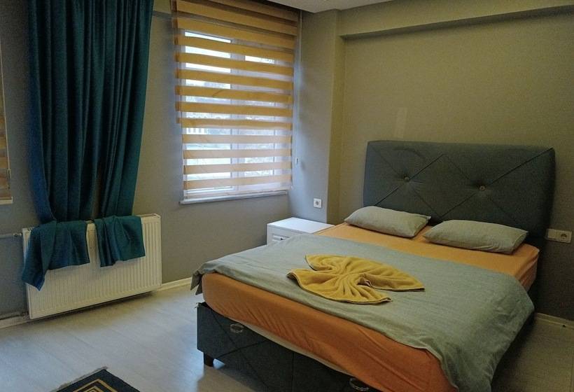 هتل Samsun Amazon