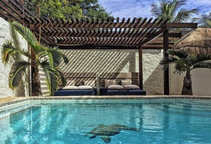 Отель Howlita Tulum