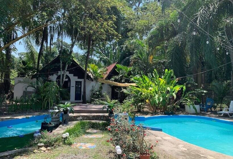 ホテル Mandacaru Puerto Viejo