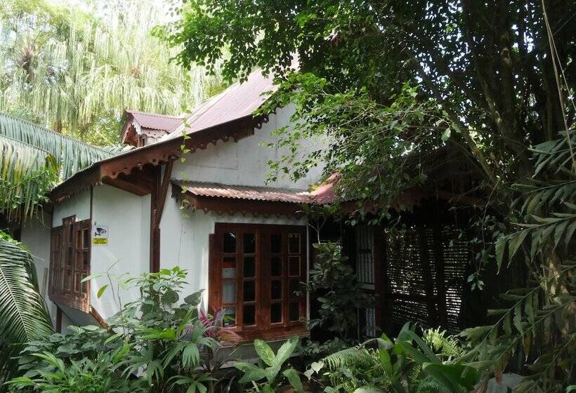 ホテル Mandacaru Puerto Viejo