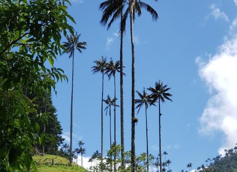 هاستل Casa Mochila