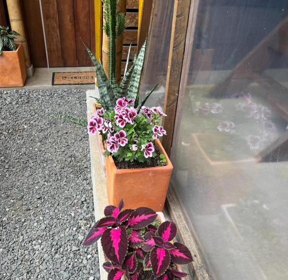 هاستل Casa Mochila