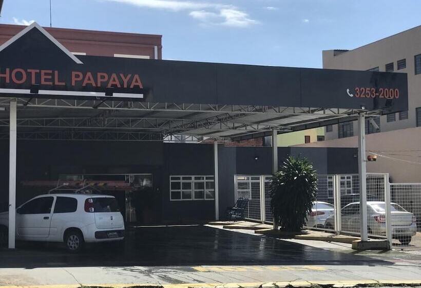 ユースホステル Papaya