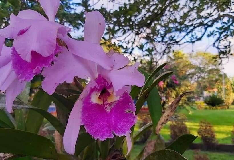 Balsora Hotel Boutique