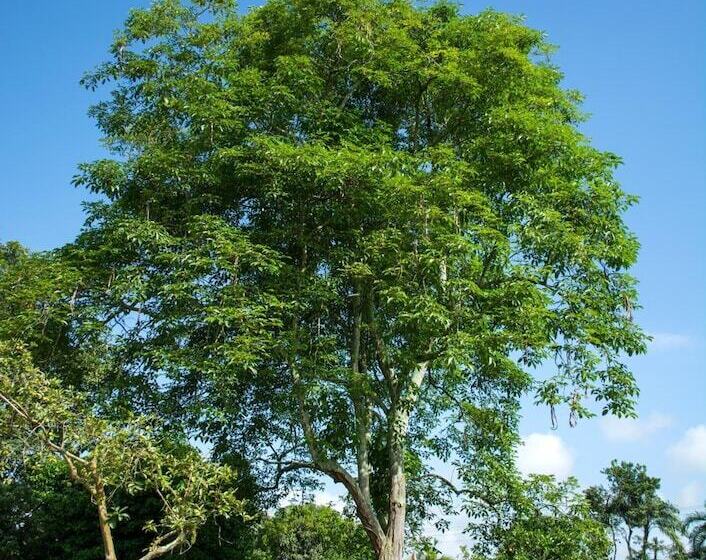 Balsora Hotel Boutique