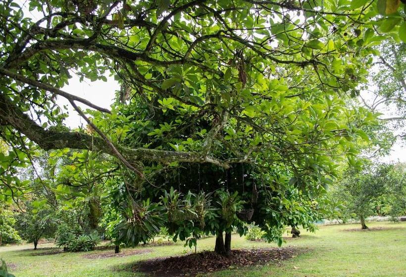 Balsora Hotel Boutique