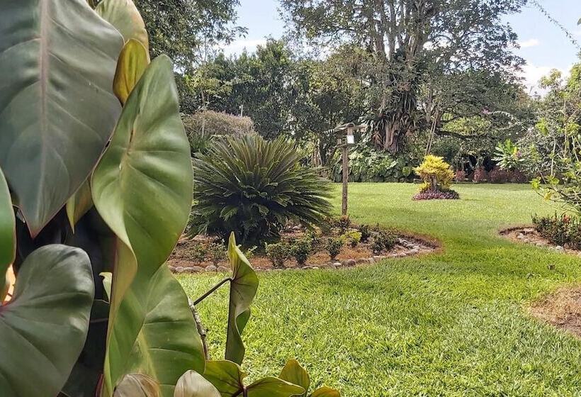 Balsora Hotel Boutique