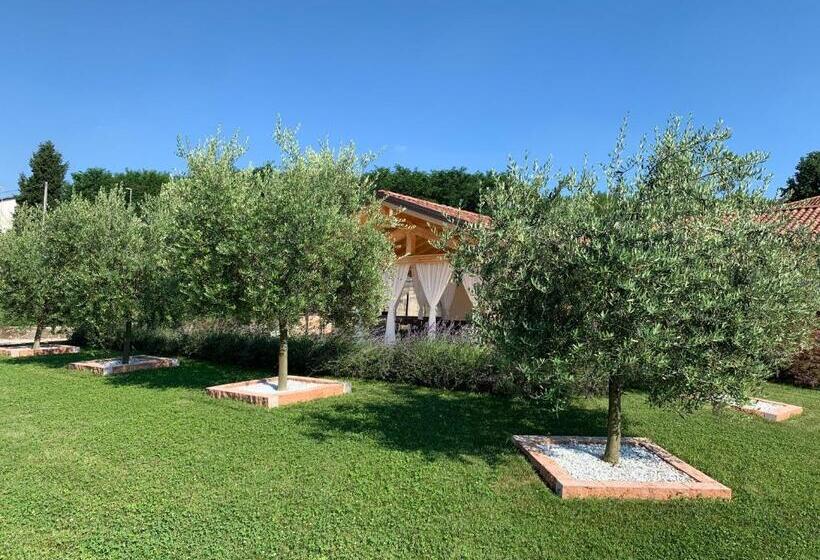 B&b Alciliegio