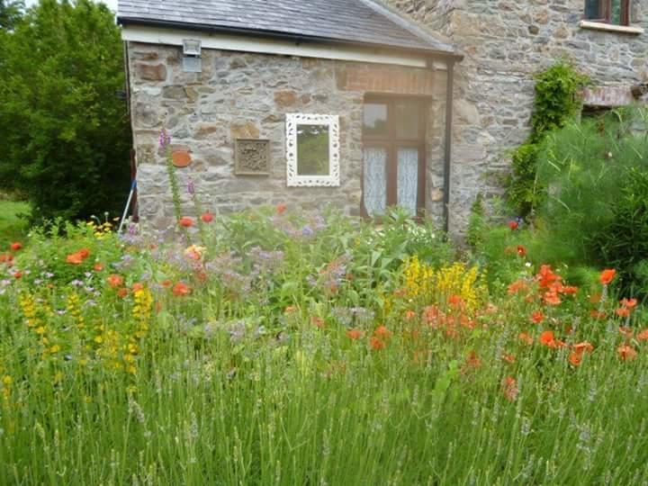 Bed and Breakfast Middle Mill