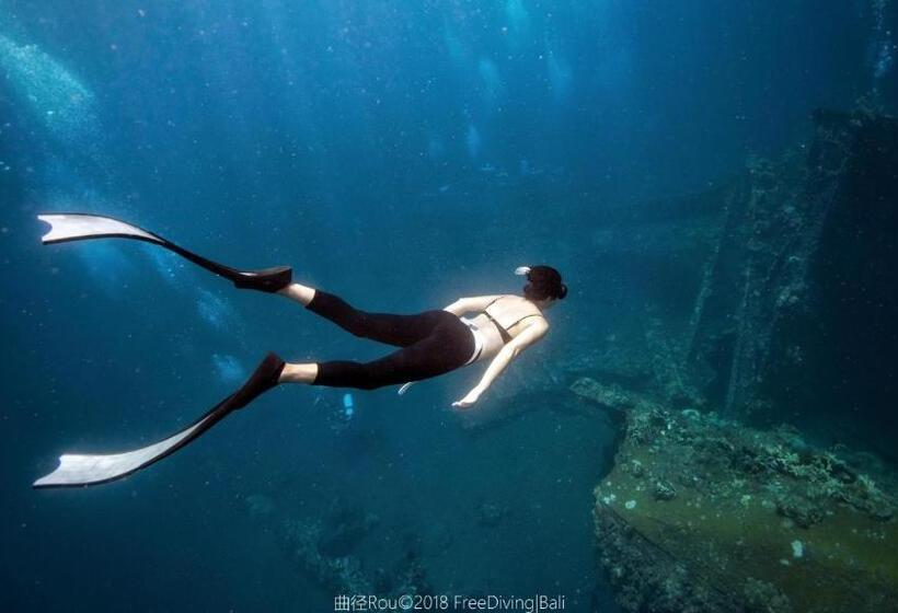 בית מלון כפרי Alba Tulamben