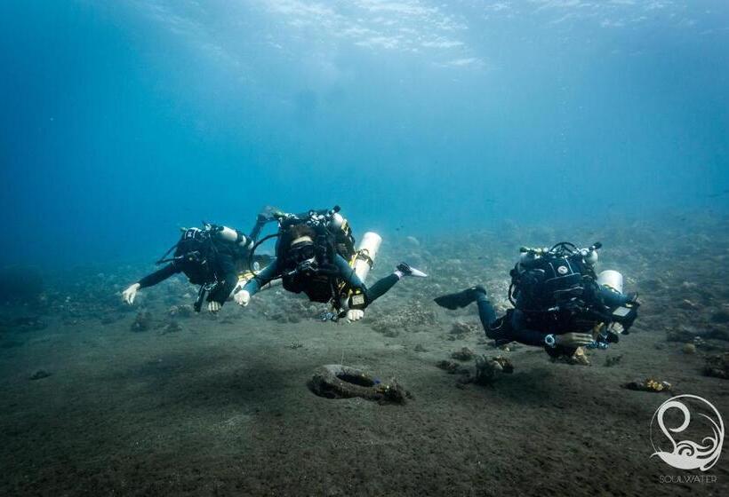 בית מלון כפרי Alba Tulamben