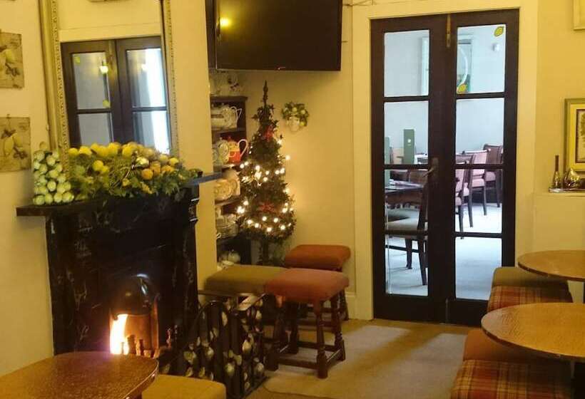 בית מלון כפרי Albert