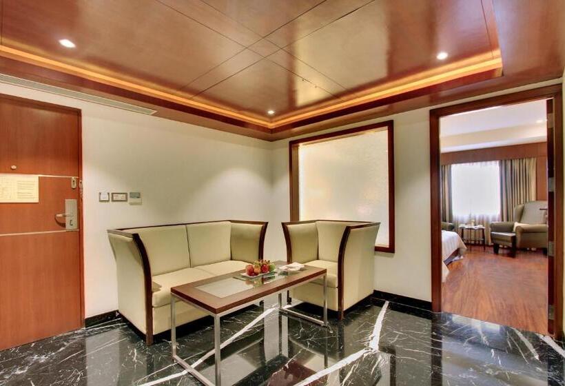 酒店 Comfort Inn Insys