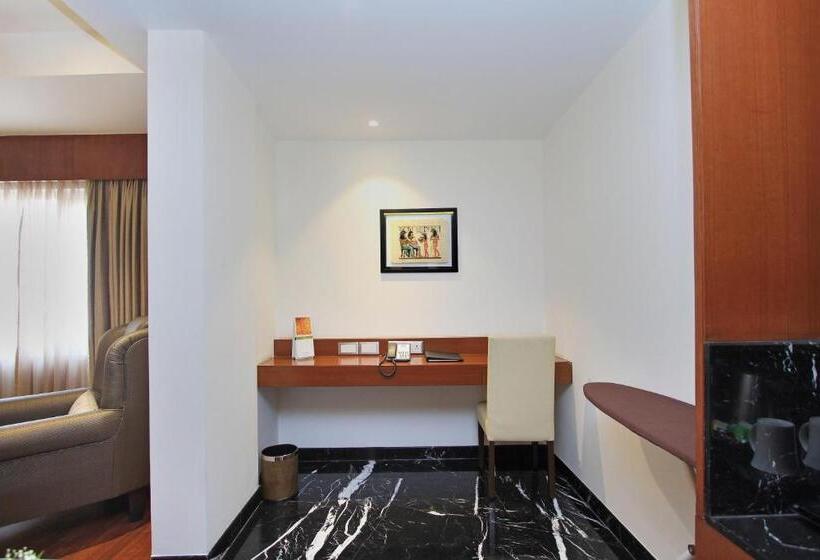 酒店 Comfort Inn Insys