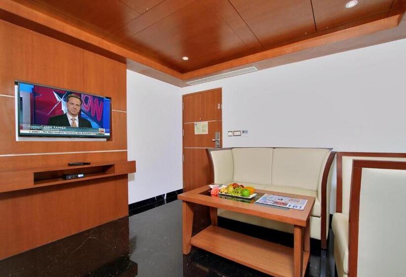 酒店 Comfort Inn Insys