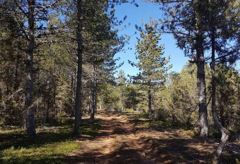 Отель Enclave Soria