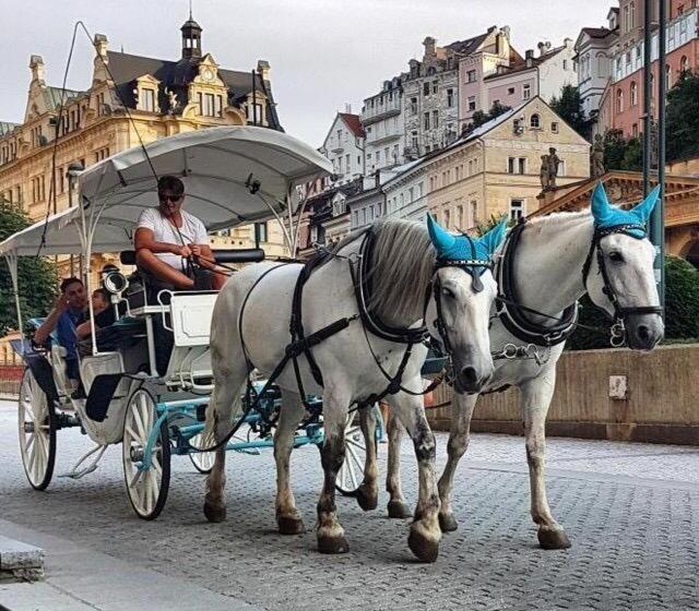 Отель Ferdinandhof Apart