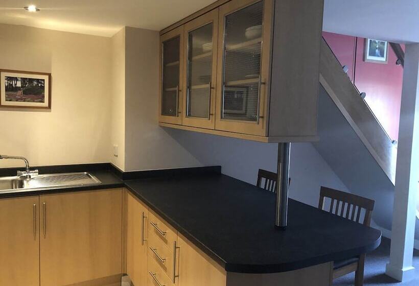 בית מלון כפרי Little Downham Anchor